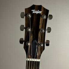 Taylor 214ce Rosewood Special Edition -Honeyburst 【現物画像】【最大36回分割無金利キャンペーン実施中】_8
