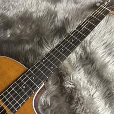 Taylor 214ce Rosewood Special Edition -Honeyburst 【現物画像】【最大36回分割無金利キャンペーン実施中】_10