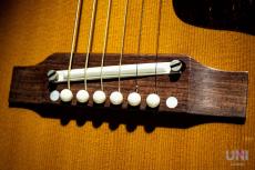 Gibson 1964 J-160E / 2005_8