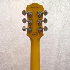 Epiphone Limited Edition Les Paul Special_5