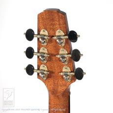 Borghino Guitars (Mirko Borghino) THE LADY Q_8