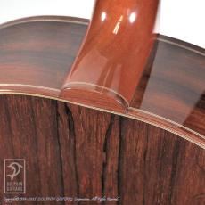 Borghino Guitars (Mirko Borghino) THE LADY Q_14