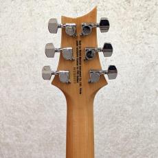Paul Reed Smith [PRS] SE-Custom24 Quilt Package_5