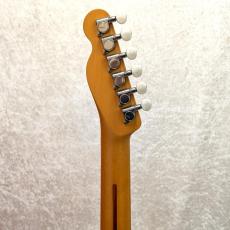 Fender Japan TL-STD_5