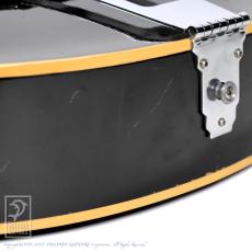 Epiphone Howard Roberts Model_15