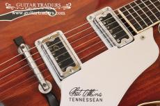 Gretsch 1964 6119 Chet Atkins Tennessean_6