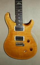 Paul Reed Smith [PRS] CUSTOM 24_2