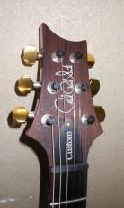 Paul Reed Smith [PRS] CUSTOM 24_4