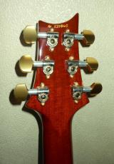 Paul Reed Smith [PRS] CUSTOM 24_5