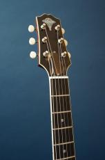 Stringphonic LeRoy SA_6