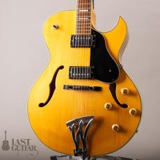 Washburn J3NA_2
