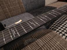 SCHECTER 2022 C-1 FR S SILVER MOUNTAIN_16
