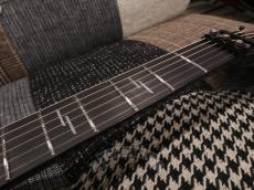 SCHECTER 2022 C-1 FR S SILVER MOUNTAIN_17
