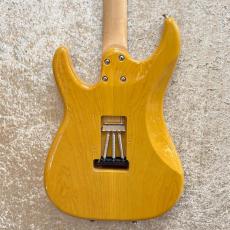 SCHECTER BH-1-STD-24F_2