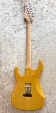 SCHECTER BH-1-STD-24F_4