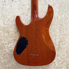 SCHECTER AD-C1-Plus_2