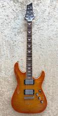 SCHECTER AD-C1-Plus_3