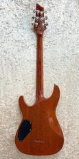 SCHECTER AD-C1-Plus_4
