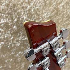 SCHECTER AD-C1-Plus_6
