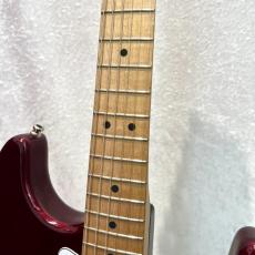 Fender Standard Stratocaster_4