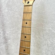Fender Standard Stratocaster_5