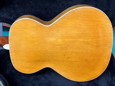 Epiphone HARRY VOLPE_3