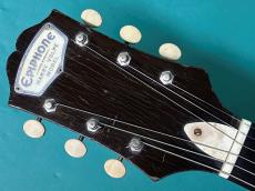 Epiphone HARRY VOLPE_5