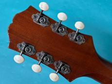 Epiphone HARRY VOLPE_6