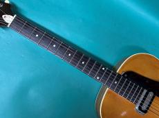 Epiphone HARRY VOLPE_7