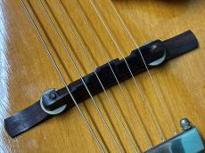 Epiphone HARRY VOLPE_10