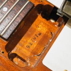Burny REX-80 '76 model Natural_10