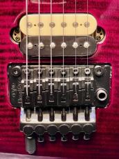 EVH Wolfgang Special -Black Cherry Burst- 2018年製_6