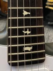 Paul Reed Smith [PRS] Silver Sky Rosewood -Faded Black Tee-Stain- 2024年製 【軽量3.38kg!】【良指板!】_10