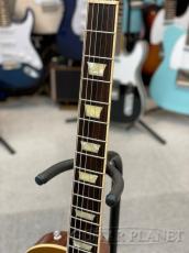 Tokai LS-GP/P-90/MR C/GT【マダガスカルローズ指板】【オールラッカー】【弊店オーダー品】_6