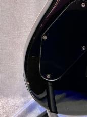 PEAVEY Wolfgang -Black- 1997-1998年製【軽量3.45kg】_7