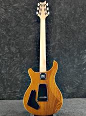 Paul Reed Smith [PRS] Swamp Ash Special - Vintage Natural -【2024年製】【0400282】【3.56kg】_5