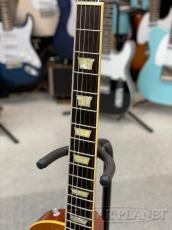 Tokai LS-GP/F/HMMR C/HB【ホンマホワンピース】【マダガスカルローズ】【オールラッカー】【弊店オーダー】_6