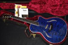 Taylor T5-QM Custom_2