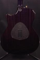 Taylor T5-QM Custom_3