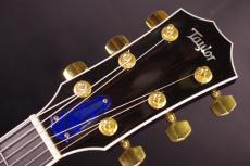Taylor T5-QM Custom_4