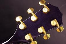 Taylor T5-QM Custom_5