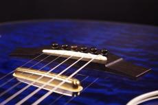 Taylor T5-QM Custom_6