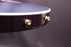 Taylor T5-QM Custom_7