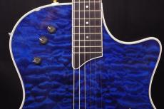 Taylor T5-QM Custom_8