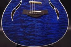 Taylor T5-QM Custom_9