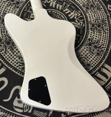 Gibson 【半期決算セール】Japan Limited Run~ Firebird Custom W/ Ebony Fingerboard Polaris White Gloss _6