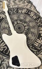 Gibson 【半期決算セール】Japan Limited Run~ Firebird Custom W/ Ebony Fingerboard Polaris White Gloss _7