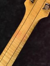 American Archtop Guitars 【半期決算セール】Collector Custom -Natural-【中古品】【コイルタップ付】【2.17kg】_7