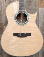 Morris TC-16 NAT 【L.R.Baggs Element搭載】
