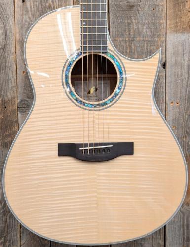Morris TC-16 NAT 【L.R.Baggs Element搭載】